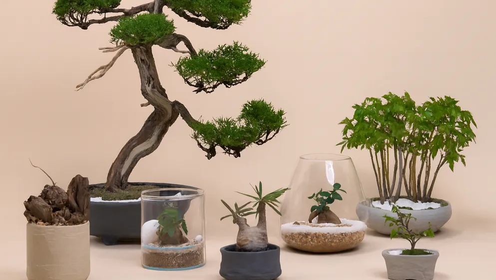 ヒーロー背景画像